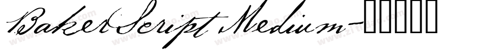 BakerScript Medium字体转换